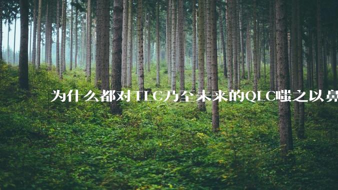 为什么都对TLC乃至未来的QLC嗤之以鼻呢?