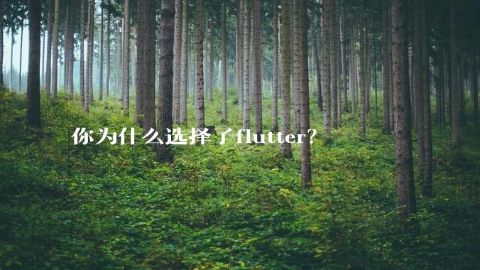 你为什么选择了flutter？