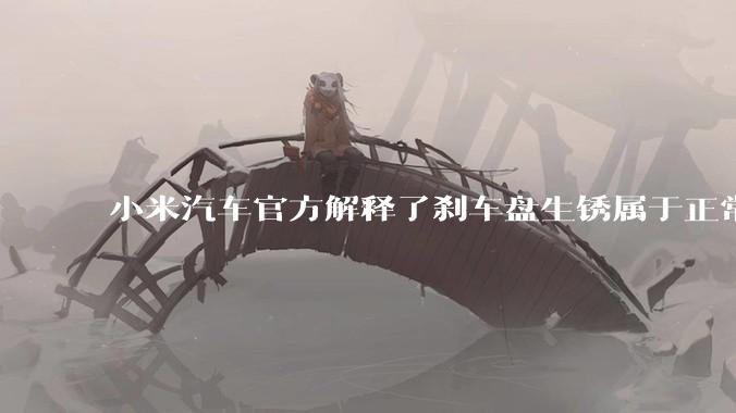 小米汽车官方解释了刹车盘生锈属于正常现象，并提供了两种除锈功能，这些措施是否足够有效？