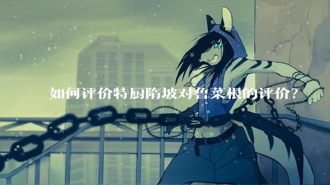 如何评价特厨隋坡对鲁菜根的评价？