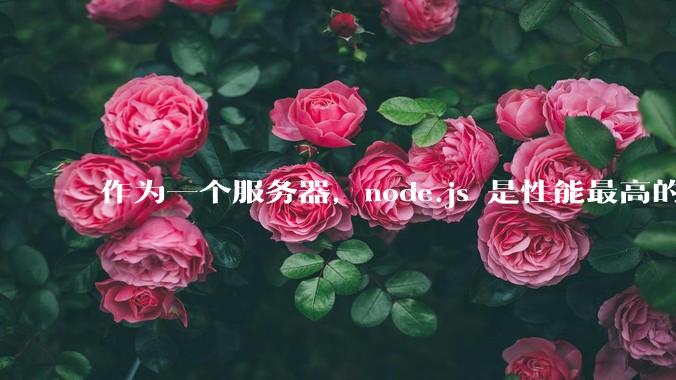 作为一个服务器，node.js 是性能最高的吗？