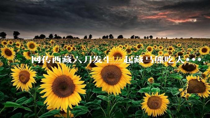 网传西藏六月发生三起藏马熊吃人***，藏马熊真的这么可怕吗？